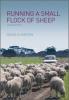 Running a small flock of sheep